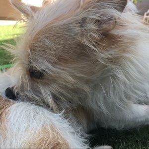 Meet your Posher, Antonio